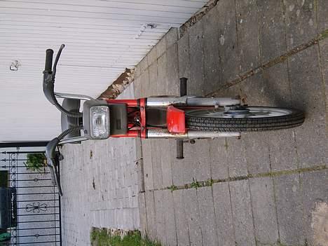 Puch Maxi P1 - ja dat var mens lygten stadig var hel. den gik i stykker efter jeg væltede på sneglatte brosten billede 2