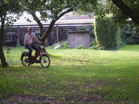 Puch Maxi P1 - ja der er sku godt nok knald på når den kører. billede 3