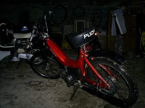 Puch Maxi - solgt -  billede 3