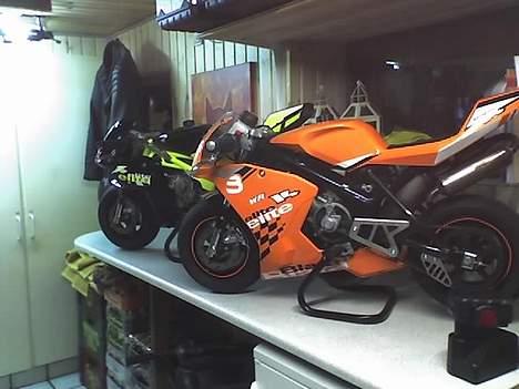 Blata Blata Elite 13 WR stjålet billede 8