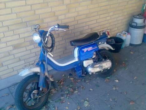 Suzuki FZ50 SOLGT billede 2