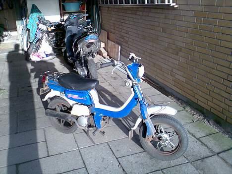 Suzuki FZ50 SOLGT billede 5
