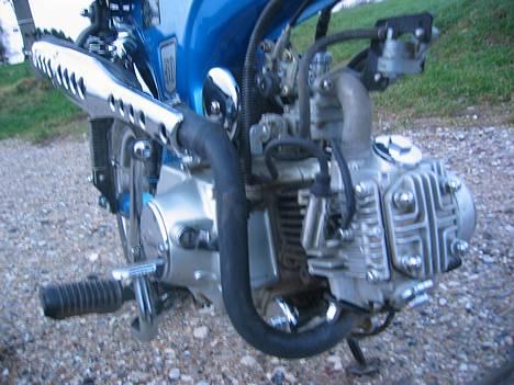 Skyteam ¤Dax¤ "  - "FØR" billede 3