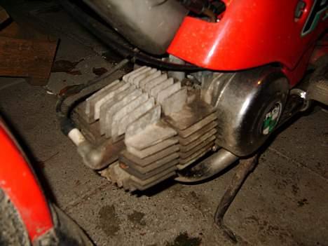 Puch Maxi P1 billede 7