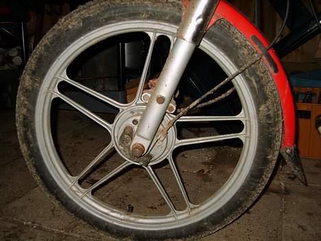 Puch Maxi P1 billede 10