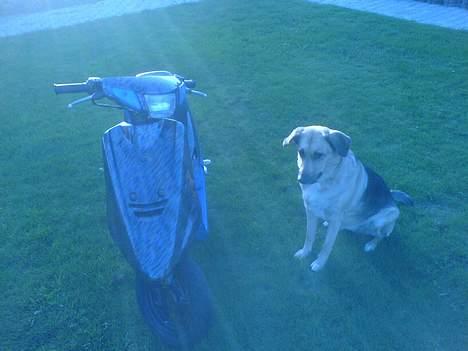 Yamaha jog fs solgt :( billede 1