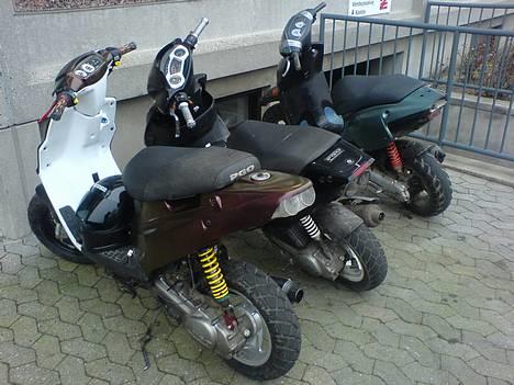 PGO Hot50  SOLGT  :( - scooter banden.. hehe billede 11