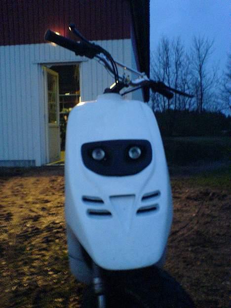 Piaggio Typhoon(Elsket og savnet) billede 12