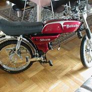 Yamaha Fs1 4 gear 
