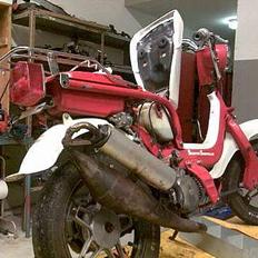 Suzuki Fz50 Solgt´!