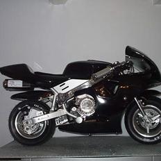 MiniBike ghostrider