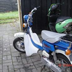 Suzuki Fz50 SOLGT !