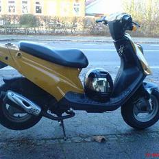 PGO Hot 50 / byttet til zip