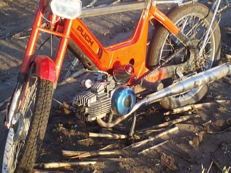 Puch maxi E50 athena solgt - mega nice maskine billede 14