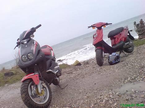 PGO PMX sport SOGLT FOR 7000 - min og shezads hot billede 11