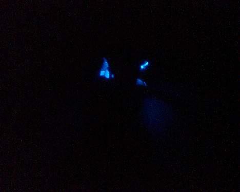 Texas 50/4 billede 7