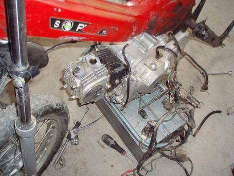 Puch  crosser  solgt billede 4