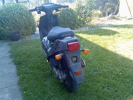 PGO hot 50 solgt billede 7