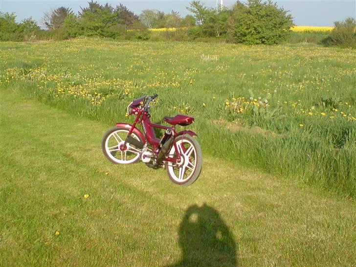 Puch Maxi 2g !!Tjek den ud!! billede 11