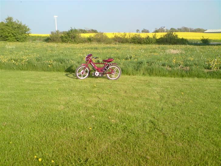 Puch Maxi 2g !!Tjek den ud!! billede 12