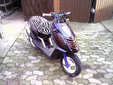 Aprilia *Sonic Malossi projekt* billede 11