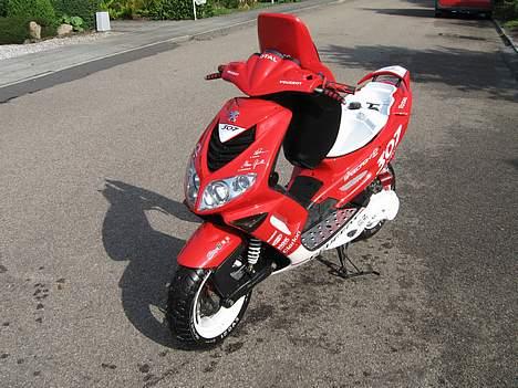 Peugeot Speedfight 2 wrc 307 ac - i en bredt motiv forfra! billede 13