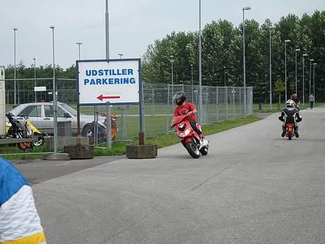 Peugeot Speedfight 2 wrc 307 ac - så svinger vi? ja enten eller som jeg plejer at sige! billede 18