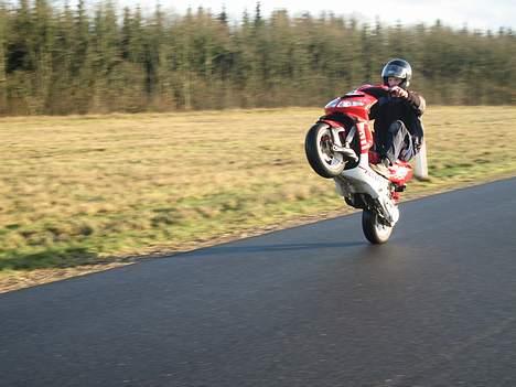 Peugeot Speedfight 2 wrc 307 ac - ja det er ingen sag.. hehe mester selv!! billede 19