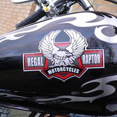 Regal Raptor DD50 EQ-3