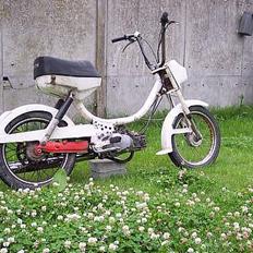 Puch mini