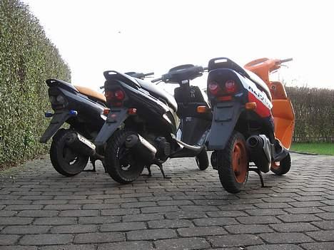 Honda SFX - Johnny,jesper,min billede 3