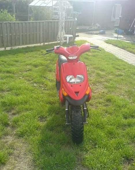 Gilera Stalker [Solgt] - Billede fra sommer. billede 6