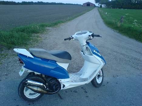 Honda SFX =SOLGT= billede 18