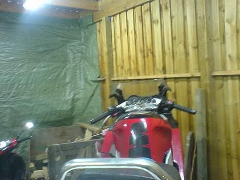 Yamaha TZR billede 15