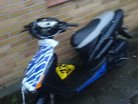 Honda SFX [Projekt] billede 2