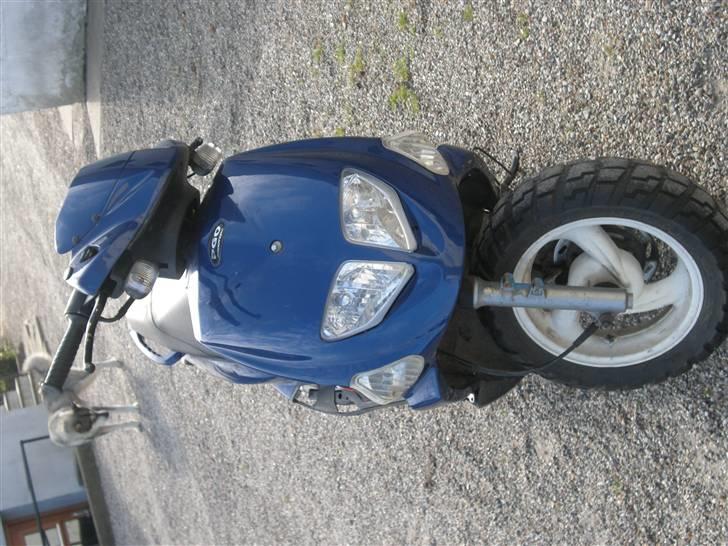 PGO dr. big  billede 5