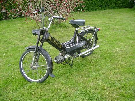 Puch Maxi k "Sæby´s" billede 1