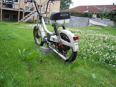 Puch mini billede 4