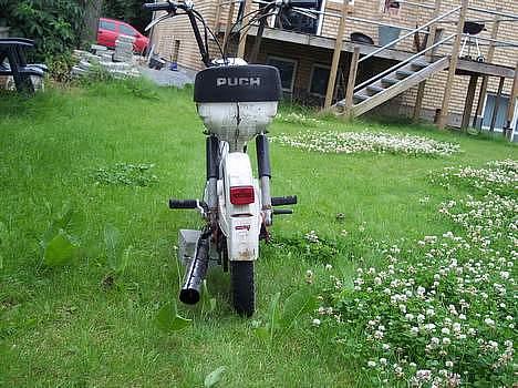 Puch mini billede 8
