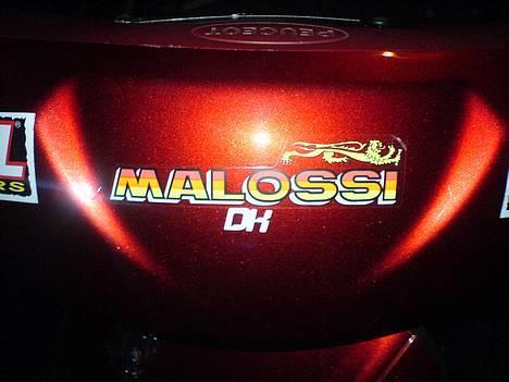 Peugeot Looxor billede 1