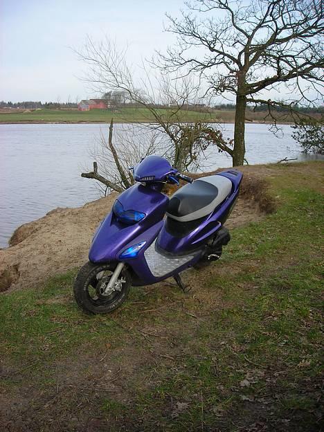 Honda SFX Solgt billede 8