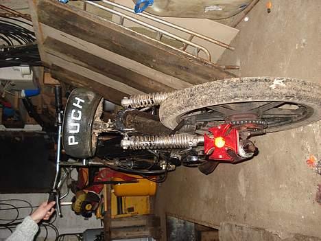 Puch Maxi kl (solgt) billede 2