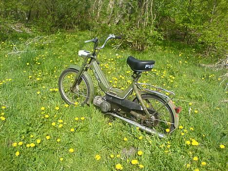 Puch Maxi >> Original billede 1