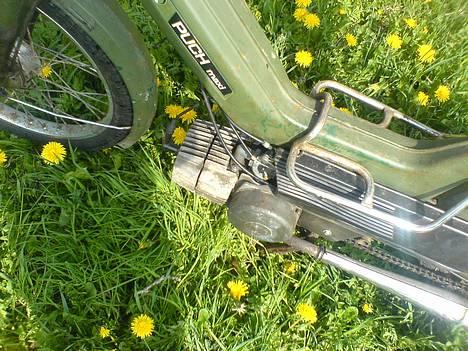 Puch Maxi >> Original billede 2