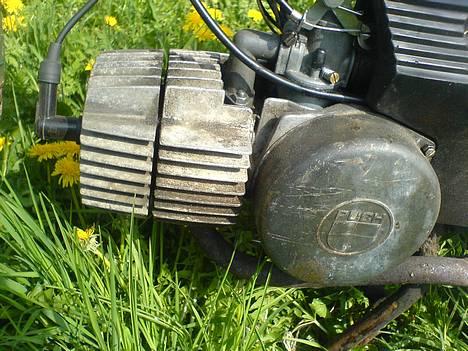 Puch Maxi >> Original billede 5