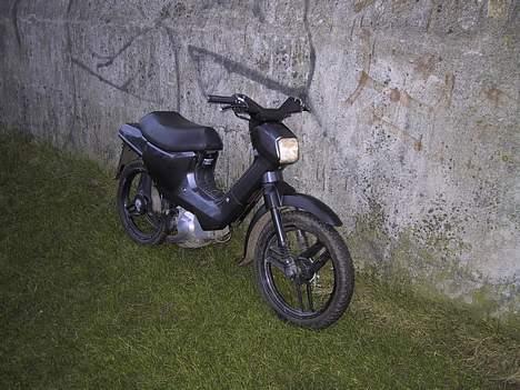 Honda Wallaroo(Byttet væk) billede 1