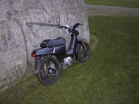 Honda Wallaroo(Byttet væk) billede 3