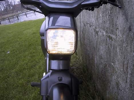 Honda Wallaroo(Byttet væk) billede 4