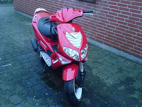 Peugeot 206 WRC SOLGT - Hottie ! billede 1