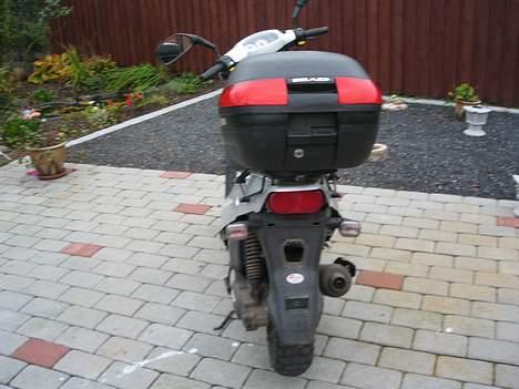 PGO tornado SOLGT billede 5